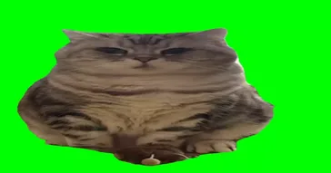 Aaa Tu Tu Tu Cat Green Screen Meme Video