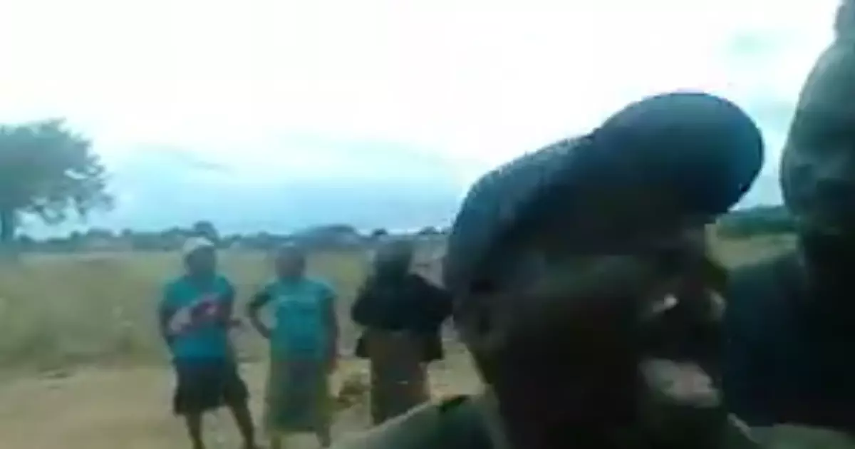 African Man Laughing Meme Download Video