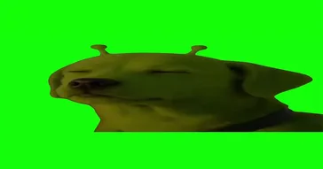 Gomer Stares Down Green Screen Meme Download | Video & Audio Meme Video