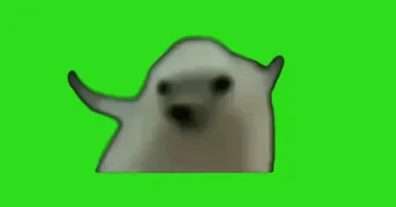 Ahmet Muhsind Green Screen Meme Video