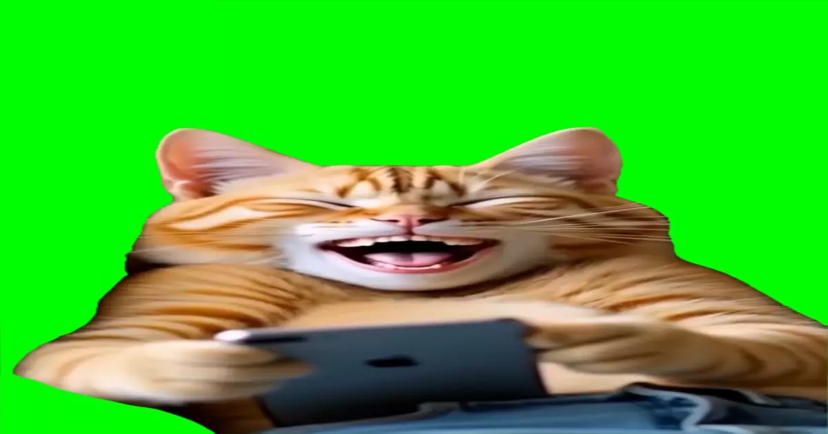 Ai Cat Laughing Meme Download Video