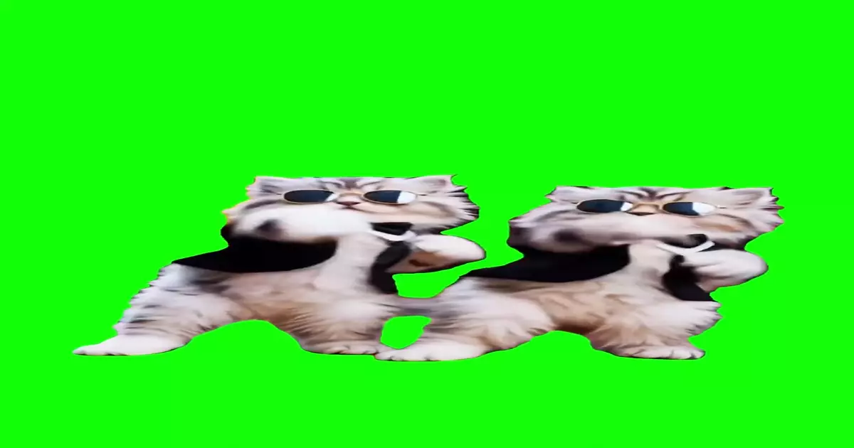 Ai Kittens In A Suite Meme Download Video