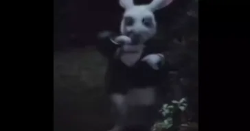 All Ways Lead To Rome Meme Video