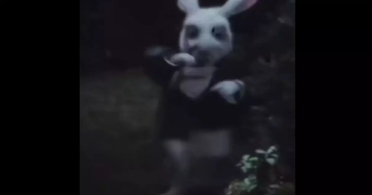 All Ways Lead To Rome Meme Download Video