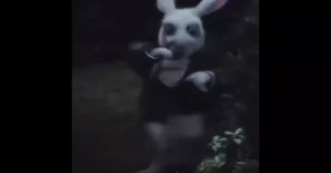 All Ways Lead To Rome Viral Meme Video