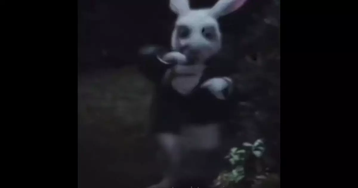 All Ways Lead To Rome Viral Meme Download Video