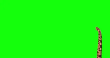 Moving Like A Snake Green Screen Meme Download | Video & Audio Meme Video