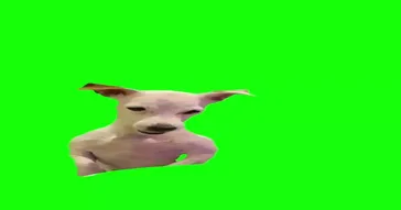 Angry Looks Meme Download | Video & Audio Meme Video