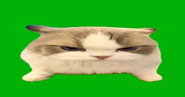 Sabrina Judging Green Screen Meme Download | Video & Audio Meme Video