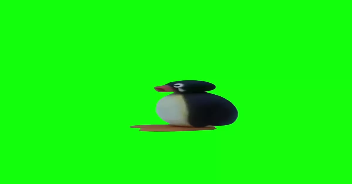 Angry Penguin Meme Download Video