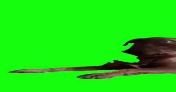 Dog Shocked Green Screen Meme Download | Video & Audio Meme Video