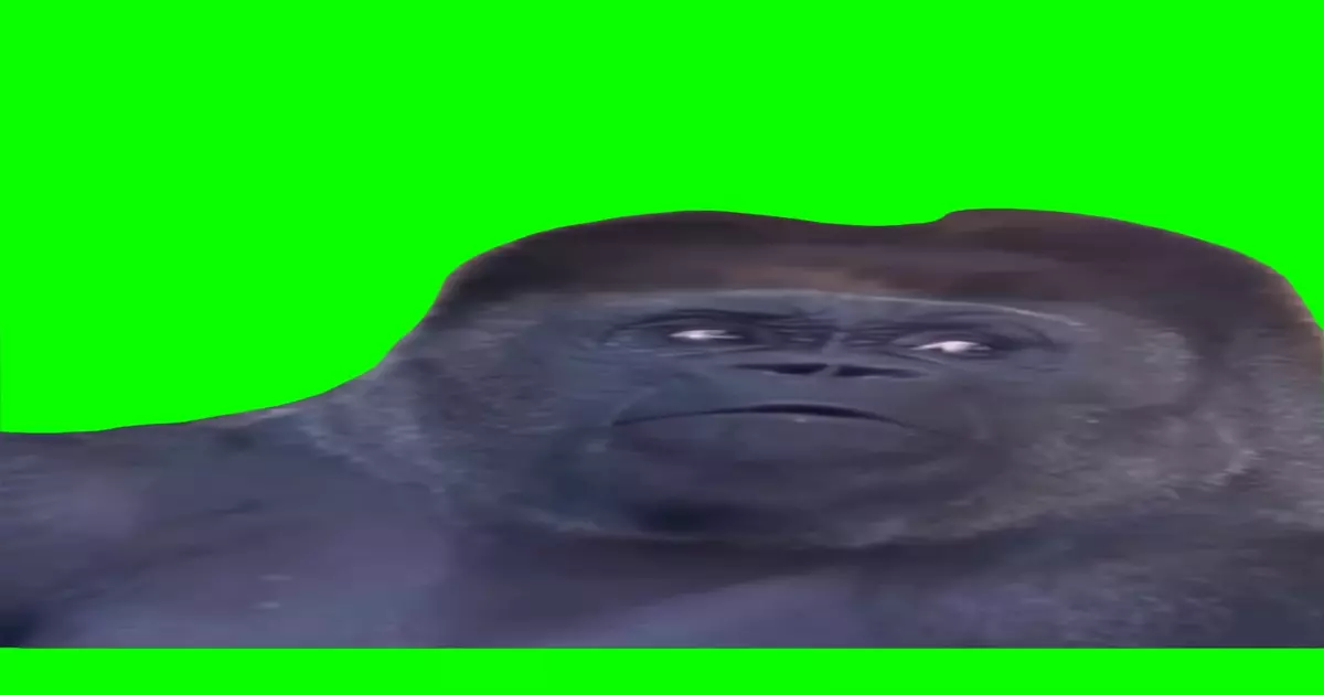 Ape Side Eye Meme Download Video