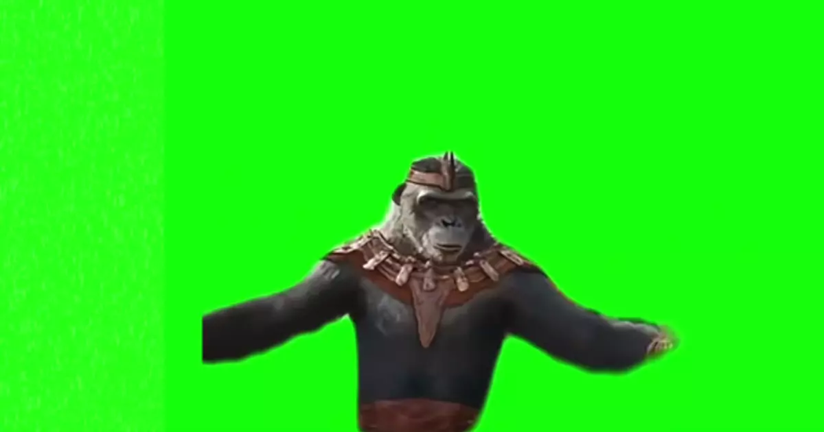 Apes What A Wonderful Day Green Screen Meme Download Video