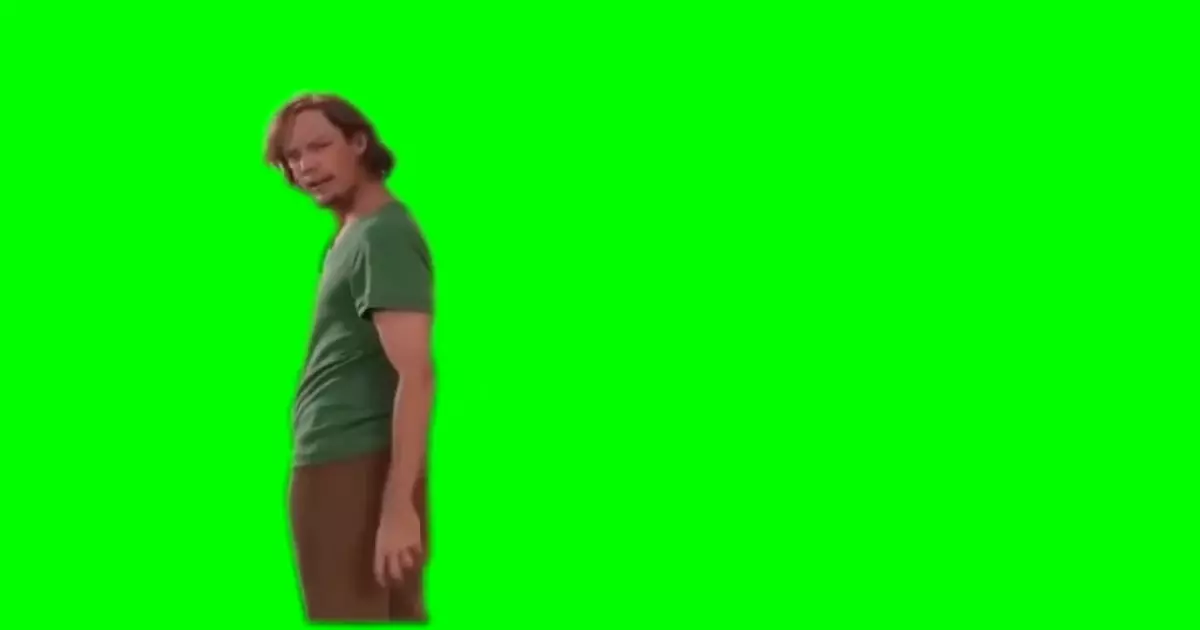 Are You Challenging Me Shaggy Green Screen Meme Download Video