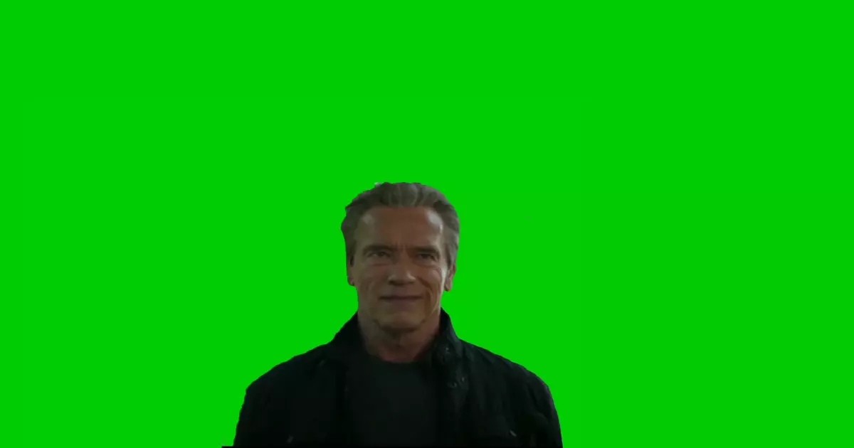 Arnold Schwarzenegger Green Screen Meme Download Video