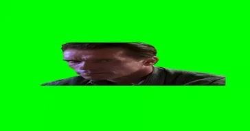 Arnold Intense Staring Meme Download | Video & Audio Meme Video