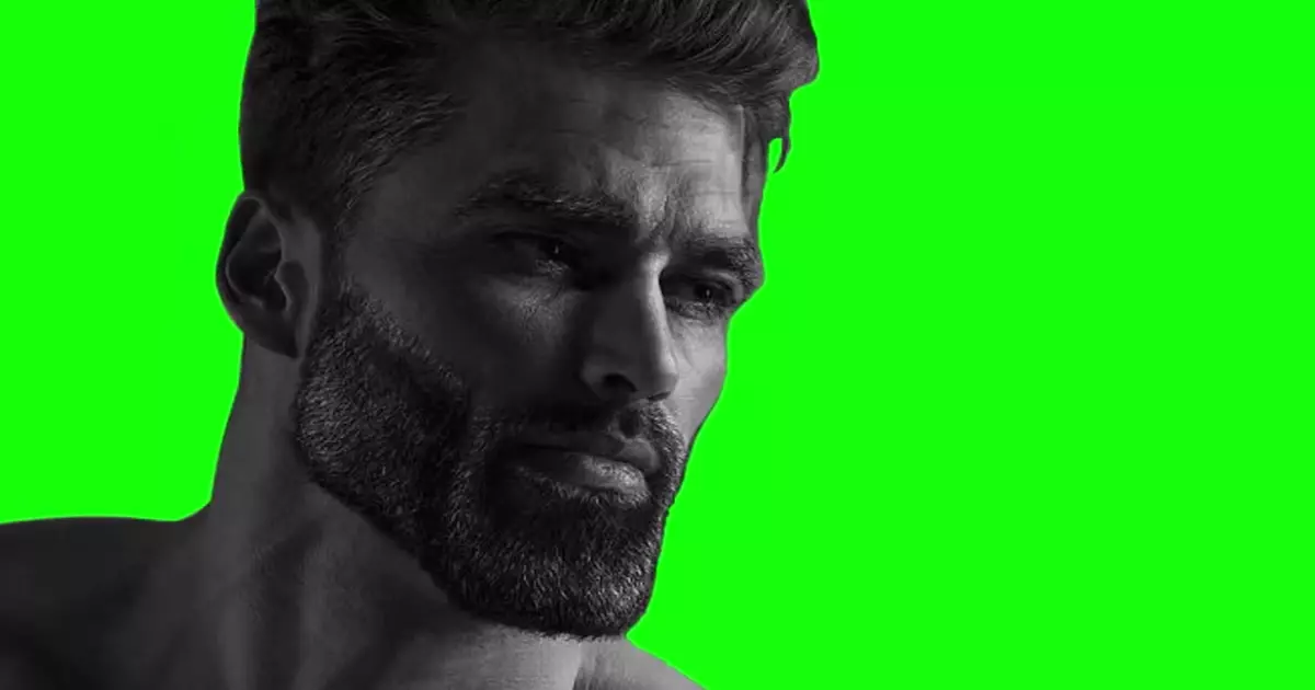 Average Chad Enjoyer Green Screen Meme Download Video