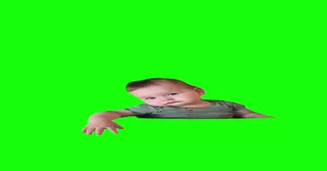 Bee Raising Eyebrows Green Screen Meme Download | Video & Audio Meme Video