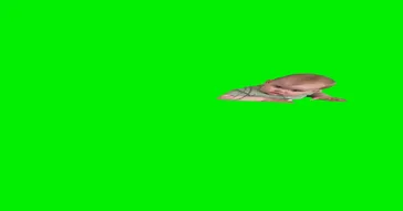 Sweet Baby Green Screen Meme Download | Video & Audio Meme Video