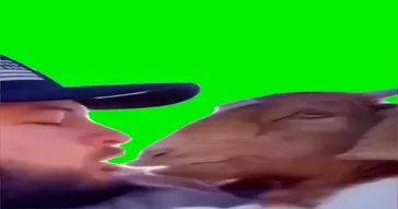 Barbecue Or Birria Green Screen Meme Video