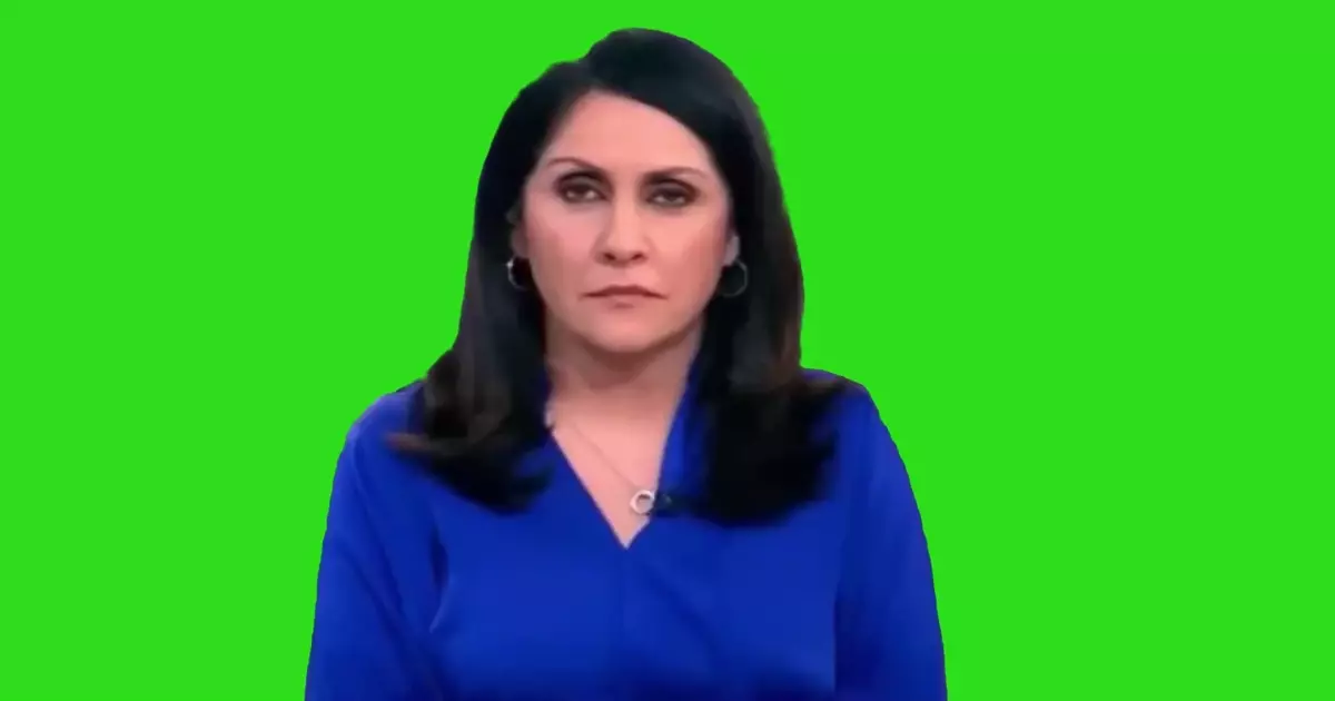 Bbc Newsreader Middle Finger Countdown Green Screen Meme Download Video