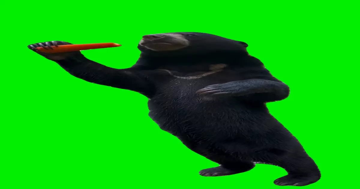 Bear Eating Carrot Green Screen Meme Download Video