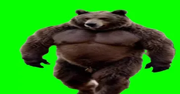 Bear Dancing Green Screen Meme Download | Video & Audio Meme Video