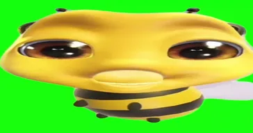 Bird Stare Green Screen Meme Download | Video & Audio Meme Video