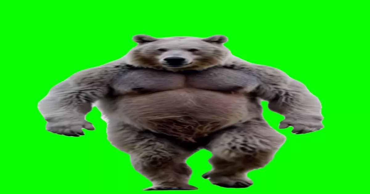 Big Bear Walking Green Screen Meme Download Video