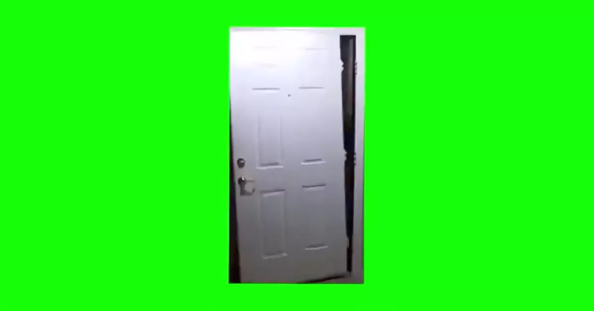 Big Bird Opens Door Green Screen Meme Download Video