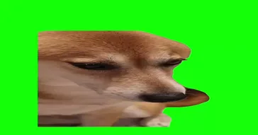 Big Dawgs Meme Download | Video & Audio Meme Video