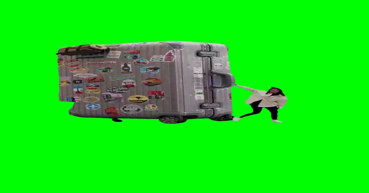 Big Luggage Meme Download Video
