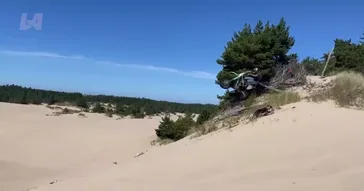 Boy Skating Hilarious Funny Meme Download | Video & Audio Meme Video