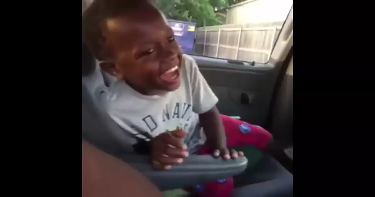 Black Kid Laughing In A Car Meme Download Video