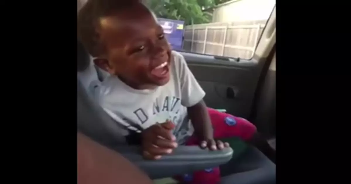 Black Kid Laughing In Car Video Download Meme Download Video