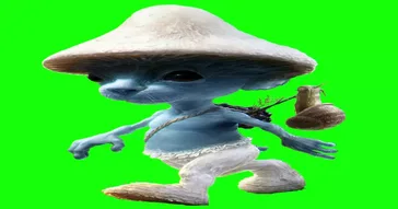 Blue Cat Looking Meme Download | Video & Audio Meme Video