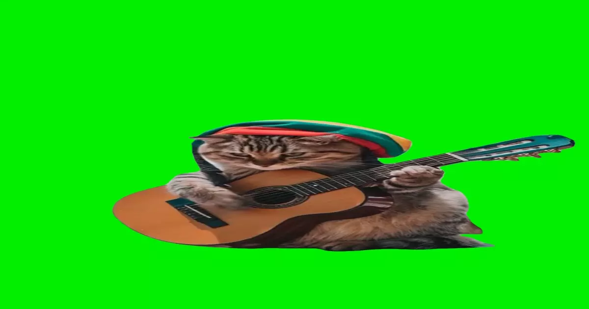 Bob Cat Ai Green Screen Meme Download Video