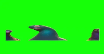 Bolt Pigeions I Seen This Guy Meme Download Bolt Pigeions I Seen This Guy Meme Download Video