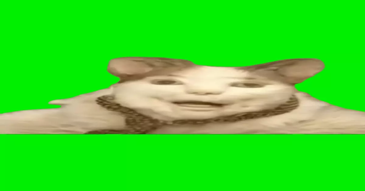 Boo Dont Be Afraid Espanol Green Screen Meme Download Video