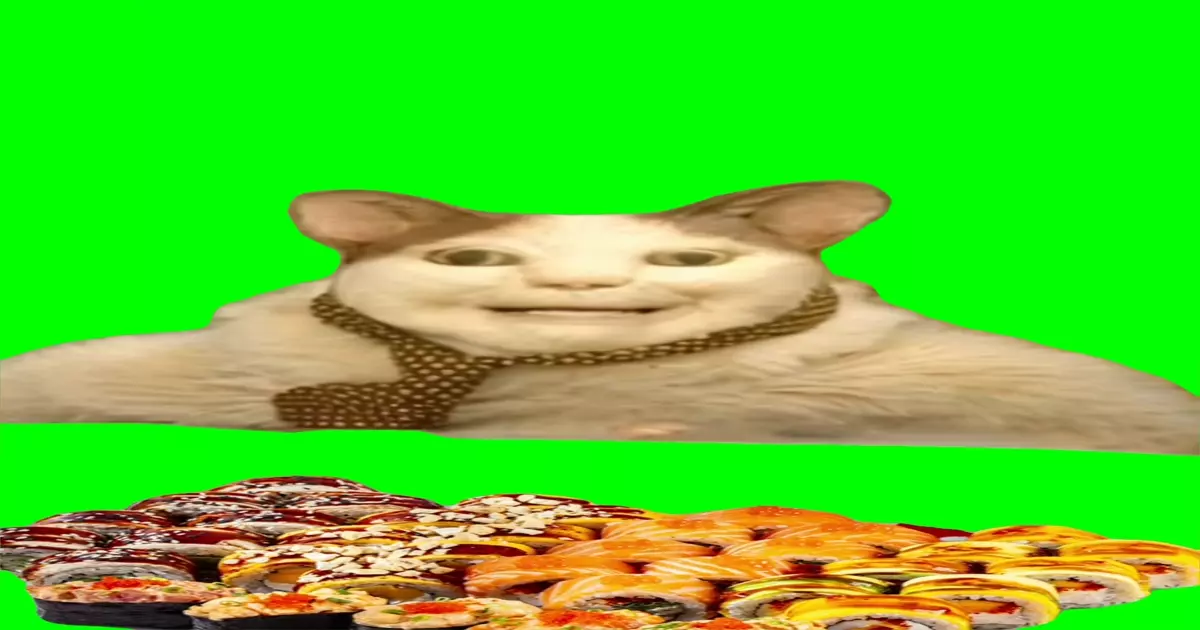 Boo Scared Don T Be Afraid Cat Meme Download Video
