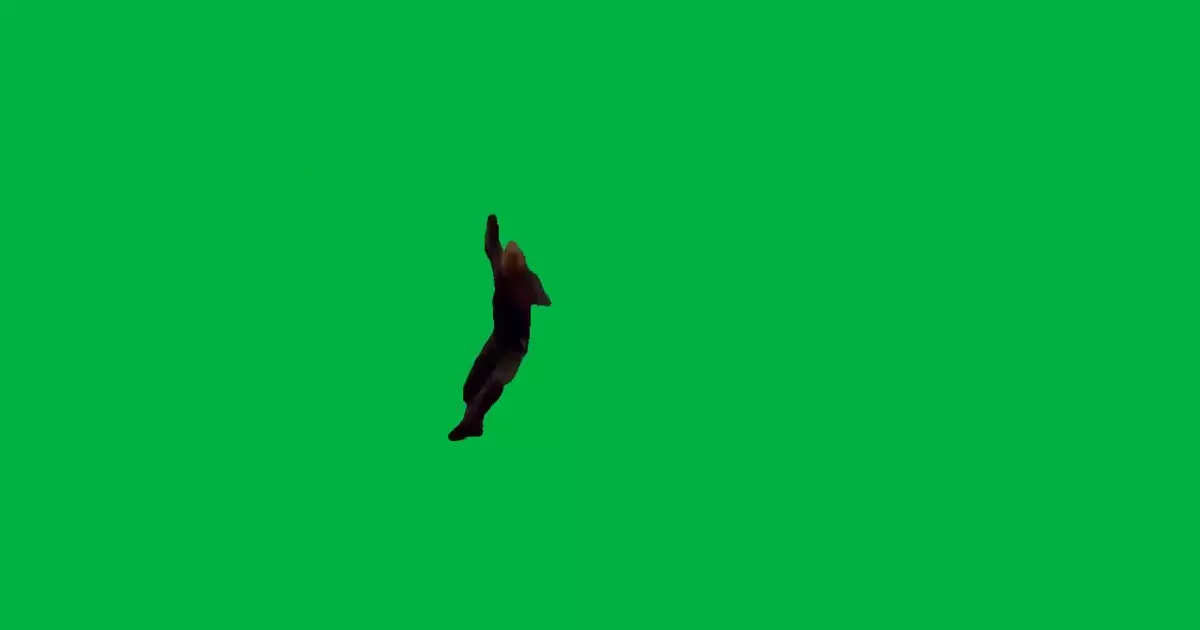 Breaking Bad Walter White Falling Green Screen Meme Download Video