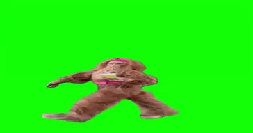 Bug Foot With A Drink Green Screen Meme Download Video