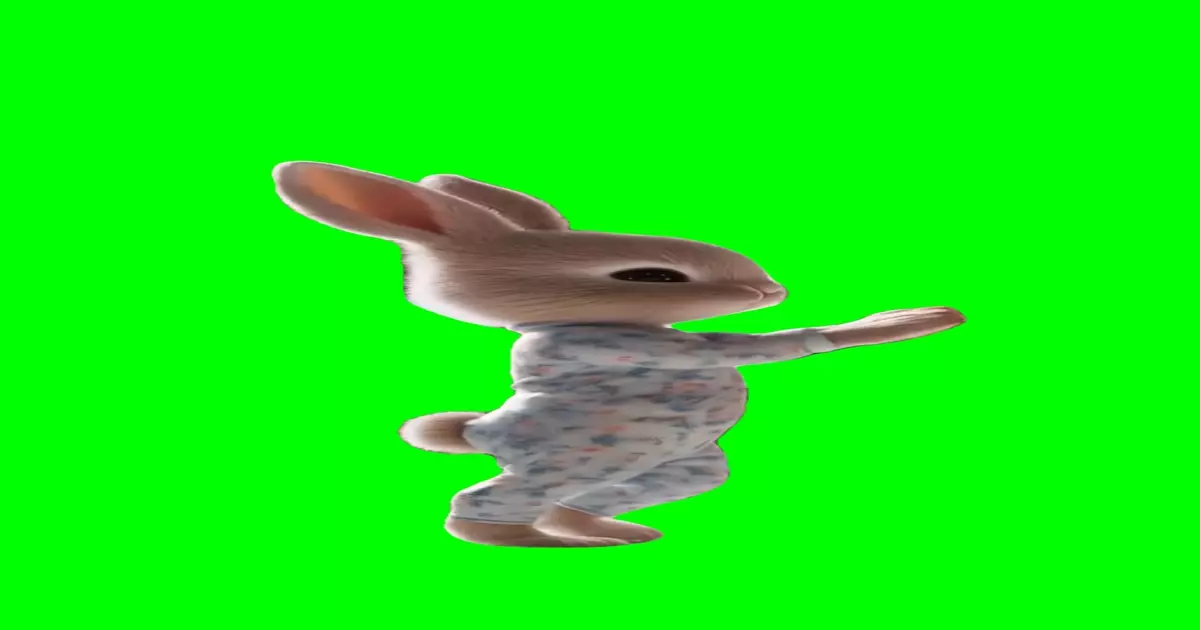 Bunny Stretching Yoga Meme Download Video