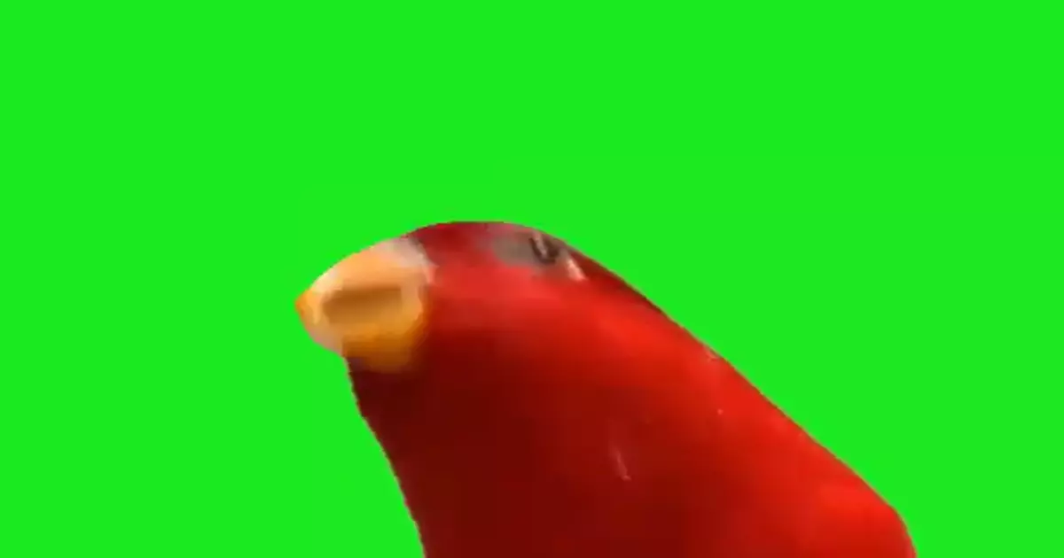 Bye Bye Meme Download Video