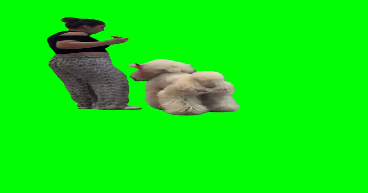 Carrying Dog Green Screen Meme Download Video