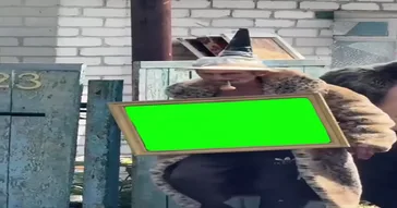Carrying Painting Green Screen Meme Video