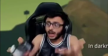 Pakad Liya Salo Carryminati Meme Download | Video & Audio Meme Video