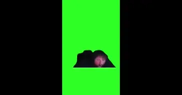 Caseoh Green Screen Video