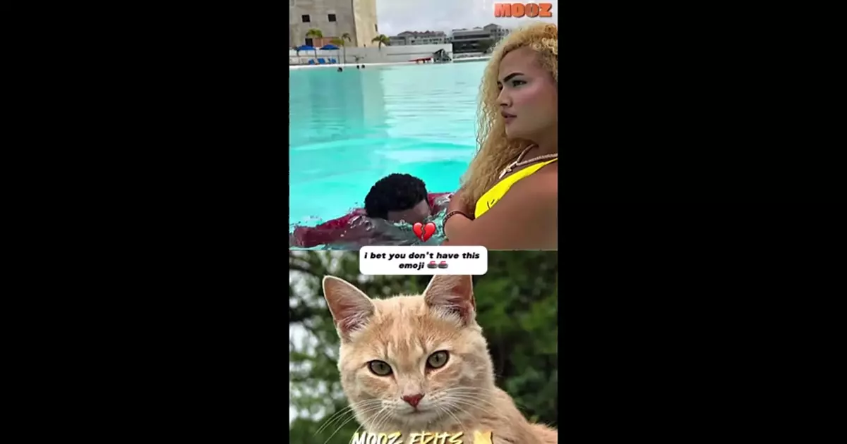 Cat And Men Viral Funny Meme Download Video