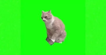 Cat Eating Corn Meme Download | Video & Audio Meme Video